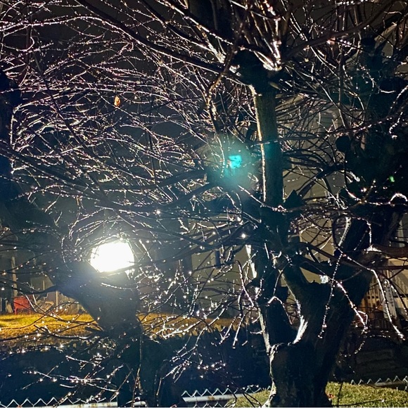 Meet your Posher, Randy - Picture 8 of 8